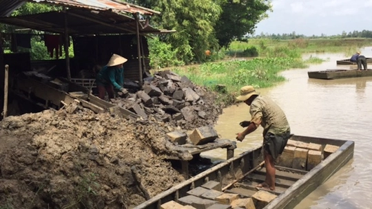 
Ngành chức năng cần kiểm soát chặt chẽ việc khai thác đất mặt ruộng, nếu không sẽ ảnh hưởng đến sản xuất lúa.
