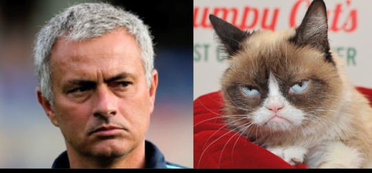 Người đặc biệt Mourinho và chú mèo này có cùng điểm chung là rất ngầu!