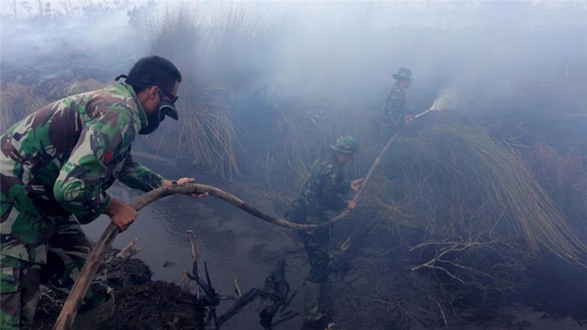Indonesia đang vật lộn với cháy rừng diện rộng Ảnh: REUTERS