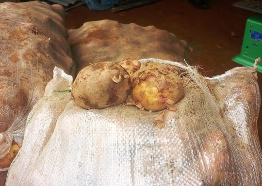 Những bao khoai tây Trung Quốc đang chờ được nhập vào chợ đầu mối nông sản Đà Lạt