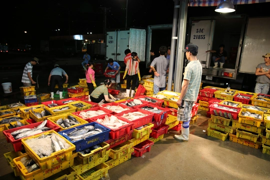 
Ngành thủy hải sản tại chợ Bình Điền chiếm hơn 70% thị phần thủy hải sản của TP HCM
