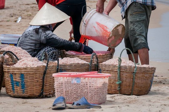 Việc nhuộm ruốc được cho là diễn ra công khai ngay trên bờ biển Gành Đỏ, phường Xuân Đài