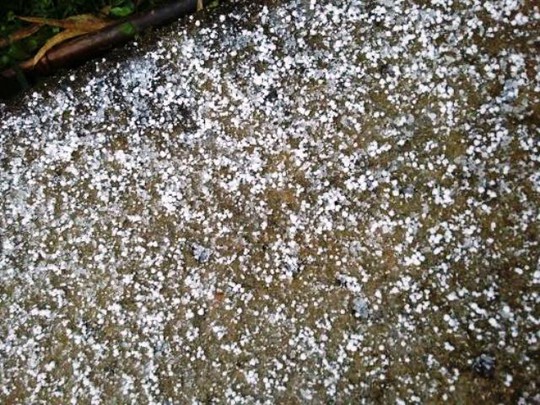Băng giá, tuyết rơi ở bản Cao Sơn, xã Lũng Cao, huyện Bá Thước - Thanh Hóa