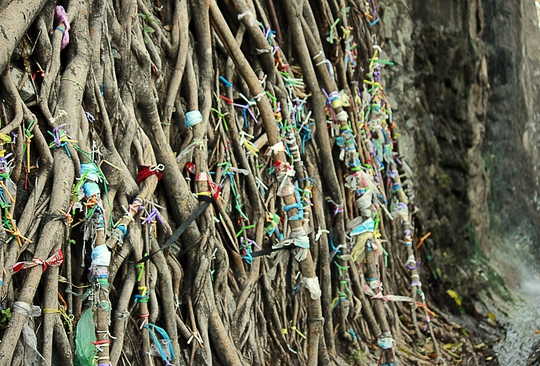 
Những gốc cây trong chùa cũng khốn khổ khi du khách cột rác vào vì quan niệm gửi lại những xui xẻo.
