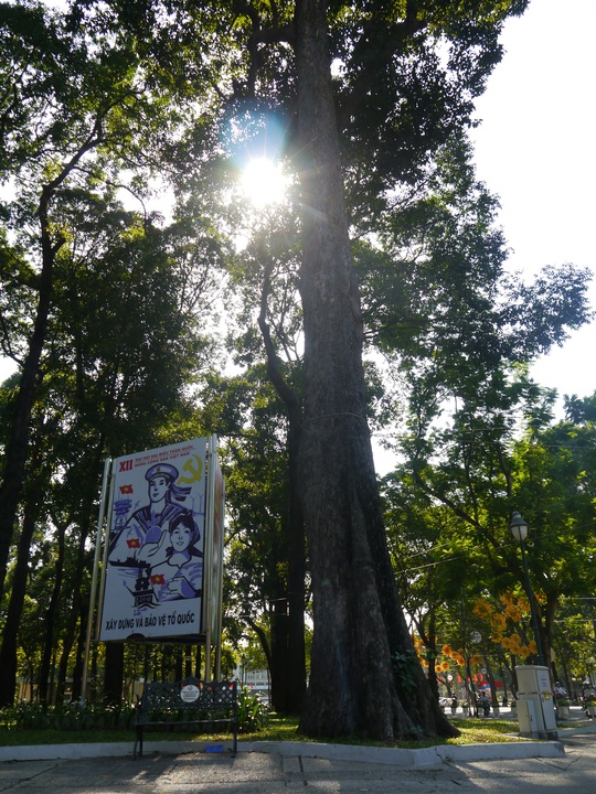
Dạo một vòng Sài Gòn, ghé công viên 30-4 giữa lòng trung tâm quận 1. Gọi một ly cafe sữa đá, nhâm nhi từng chút để tận hưởng cảm giác thư thái, êm ả giữa nơi được mệnh danh ồn ào và náo nhiệt bậc nhất Việt Nam.
