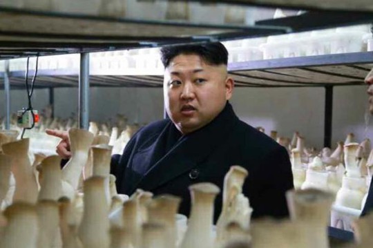 Nhà lãnh đạo Triều Tiên Kim Jong-un trực tiếp giám sát “Văn phòng 39”. Ảnh: KCNA