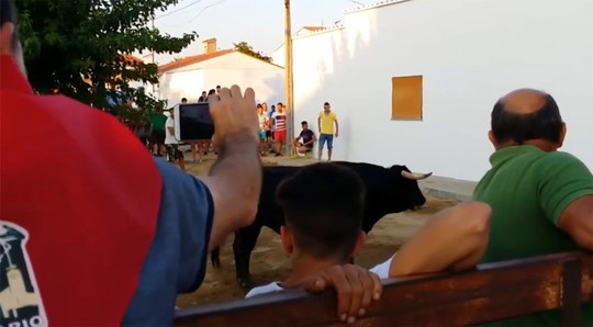 Khán giả tham dự lễ hội bò tót ở Cáceres. Ảnh: YOUTUBE