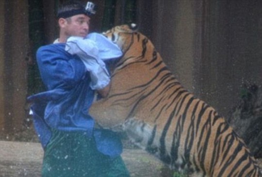 
Một vụ tấn công khác tại Australia Zoo xảy ra năm 2013. Ảnh: Daily Mail
