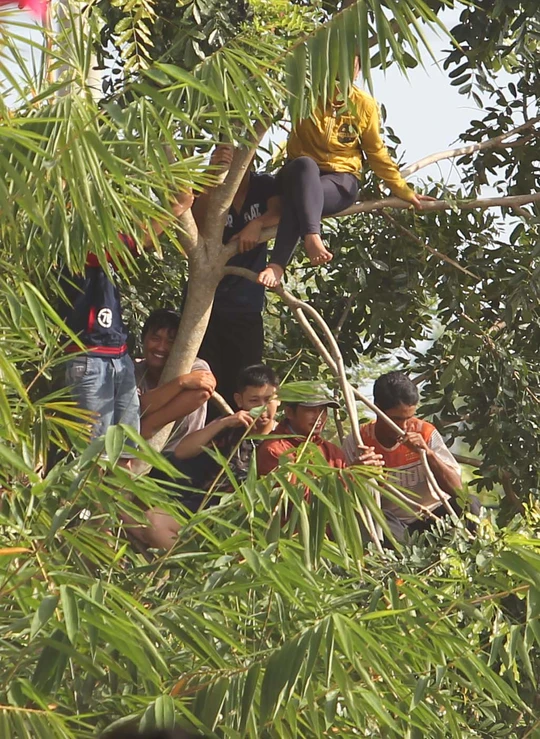 
Vì không còn chỗ để xem phiên tòa, nhiều người dân đã bất chấp nguy hiểm trèo lên các cây cao để theo dõi
