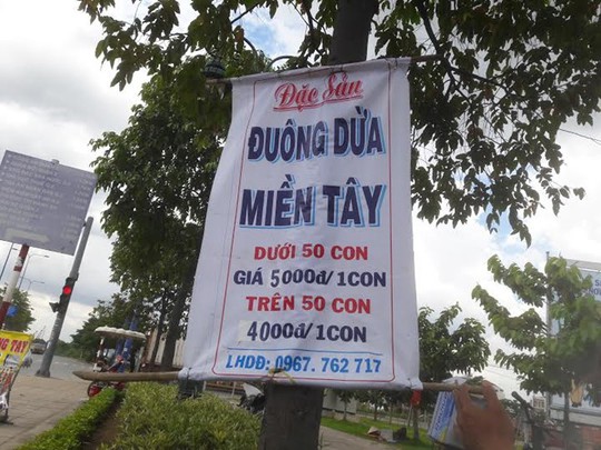 Nhiều bảng quảng cáo bán đuông dừa với giá 4.000-5.000 đồng/con dọc đại lộ Võ Văn Kiệt. Ảnh: Phạm Oanh