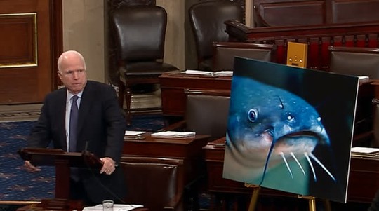 
Thượng nghị sĩ John McCain tích cực hành động để bãi bỏ Chương trình giám sát cá da trơn của Bộ Nông nghiệp Mỹ (USDA) Ảnh: Twitter
