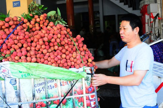 Một thương lái họ Đường (Hồ Nam, Trung Quốc) đang kiểm tra chất lượng vải trước khi mua.