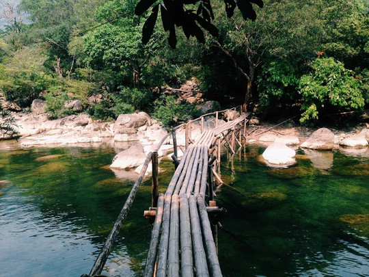 Cầu tre nối 2 bên bờ suối, góp phần làm nên phong cảnh thơ mộng của nơi này.