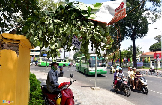
Tại ngã 3 Đình Tiên Hoàng-Phan Đăng Lưu (quận Bình Thạnh), ông Hoàng Văn Xẻng, làm nghề xe ôm phải dùng cành cây, tấm bảng quảng cáo che bớt nắng trong khi đợi khách.
