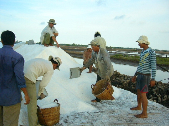 Kho dự trữ muối quốc gia ở Bạc Liêu chậm hoàn thành nên diêm dân phải để muối tồn đọng ngoài ruộng