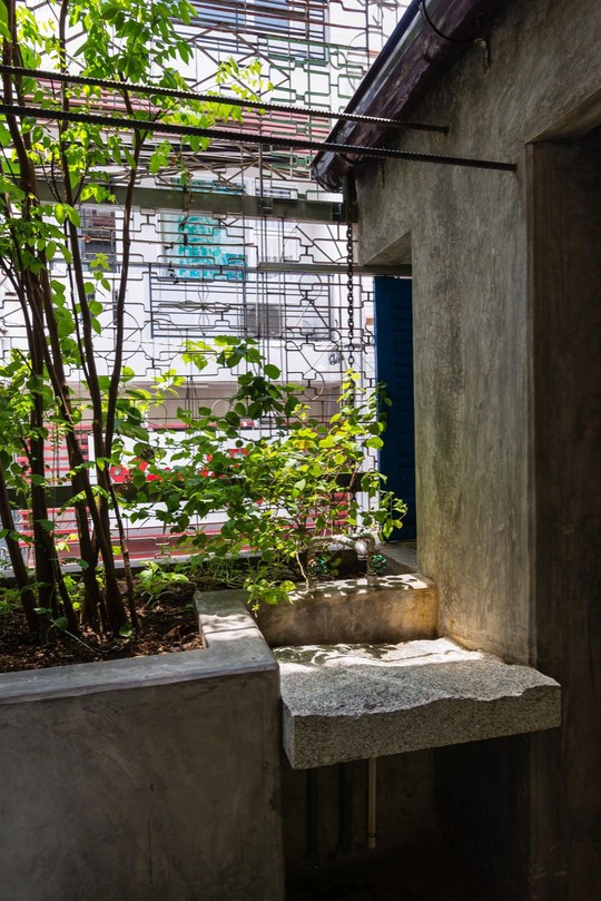 Vẻ đẹp yên bình của ngôi nhà nhỏ giữa lòng Sài Gòn - Ảnh 11.