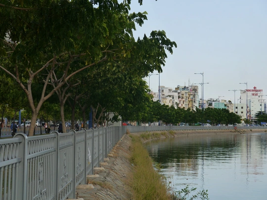 
Những hàng cây mới nhú xanh màu khát vọng trên đại lộ Võ Văn Kiệt, là sự khát khao đổi mới của một thành phố trẻ đầy năng động.
