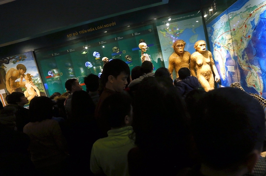 Đám đông chen nhau đứng xem và chụp ảnh mẫu vật và sơ đồ tiến hóa loài người 