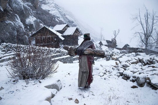 
Remote life at -21 degree - chủ đề Con người - tác giả Mattia Passarini. Bức ảnh ghi lại công việc cảu một phụ nữ sống ở làng Mimachal Pradesh (Ấn Độ) đang vác củi về nhà để đốt sưởi ấm trong cái lạnh -21 độ C.
