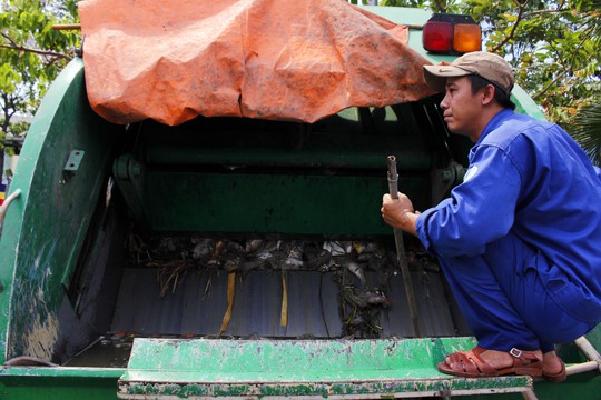 Tình tới chiều 18-5, tổng số cá chết được vớt lên là hơn 70 tấn cá và số lượng này chưa dừng tại đó. Toàn bộ số cá chết sẽ được đưa lên xe chuyên dụng chở về bãi rác Đa Phước, huyện Bình Chánh để xử lý theo đúng quy định.