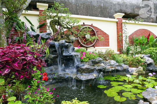 
Một khu tiểu cảnh đẹp trong sân vườn với thác nước, cá cảnh và nhiều loại hoa ưa nước rất hút mắt.
