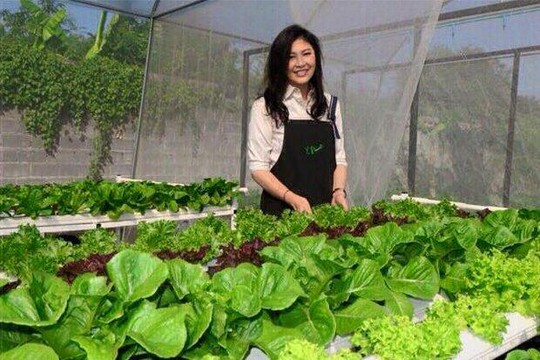 Hình ảnh bà Yingluck trong vườn rau và vườn nấm được đăng tải trên Facebook cá nhân. Ảnh: Facebook