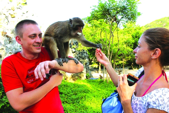 
Du khách tham quan đảo Hòn Lao vui chơi với bầy khỉ

