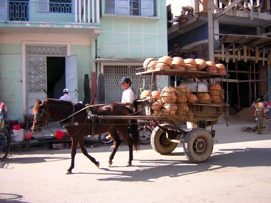 Họa hoằn lắm người ta mới bắt gặp chiếc xe ngựa lẻ loi trải vó trên phố thị Phan Rang ồn ào, náo nhiệt.