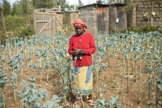 Bà Wangechi N., 60 tuổi, bị những người đàn ông lạ mặt cưỡng hiếp vào tháng 12-2007. Ảnh: HRW