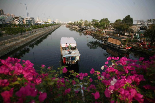 
Chợ hoa xuân ở bến Bình Đông (quận 8) với hàng trăm chậu cảnh đủ loại
