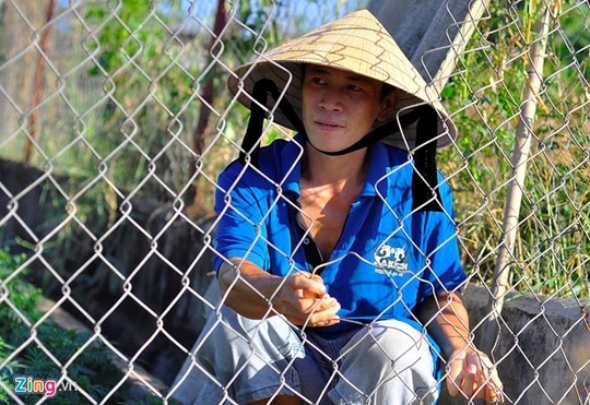  Hàng rào bằng lưới thép B40 của gia đình anh Nguyễn Phước Tiến bị người lạ cắt để thâm nhập vào vườn, phá cây. Ảnh: Ngọc An
