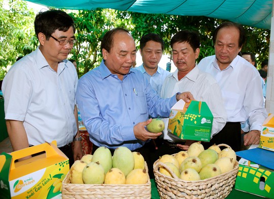 Thủ tướng Nguyễn Xuân Phúc thăm HTX Xoài Mỹ Xương ở huyện Cao Lãnh, tỉnh Đồng Tháp Ảnh: TTXVN