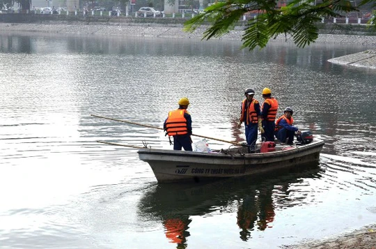 
Sáng 9-6 hàng trăm công nhân vẫn đang tiến hành vớt cá chết tại hồ Hoàng Cầu
