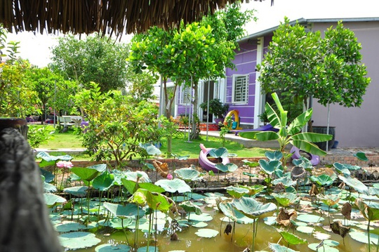 Khu vườn 3000 m2 rợp cây xanh trên đất cằn, nước mặn ở Sài Gòn ...