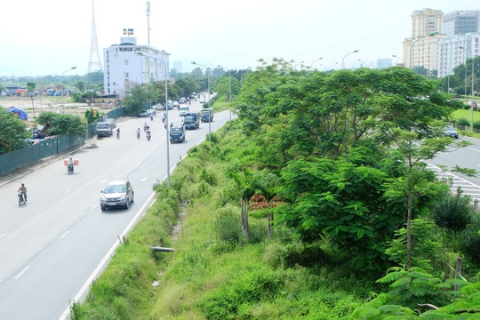 
Tuy nhiên, càng xuống khu vực xa trung tâm, cây cối 2 hành lang ven đường Đại lộ Thăng Long vẫn mọc lên um tùm như rừng
