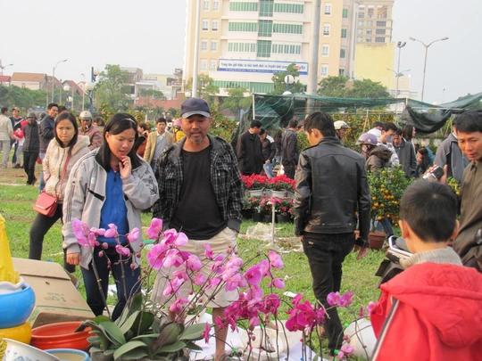 
Người dân Đà Nẵng nhộn nhịp mua hoa Tết vào chiều 29 Tết
