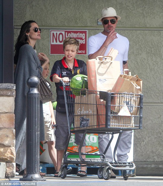 Angelina Jolie, Brad Pitt và 3 con