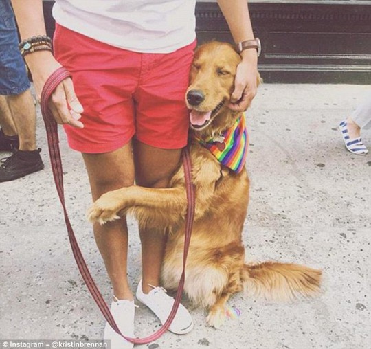 
Nàng chó Louboutina và cái ôm nổi tiếng. Ảnh: Instagram
