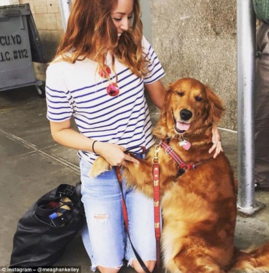 Cô chó thích ôm du khách ở New York