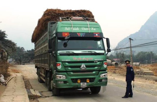 
Chiếc xe chở quá khổ, quá tải bị Giám đốc Sở GTVT Thanh Hóa yêu cầu bắt giữ để xử lý tại Trạm kiểm tra Đồng Tâm (huyện Bá Thước, tỉnh Thanh Hóa)
