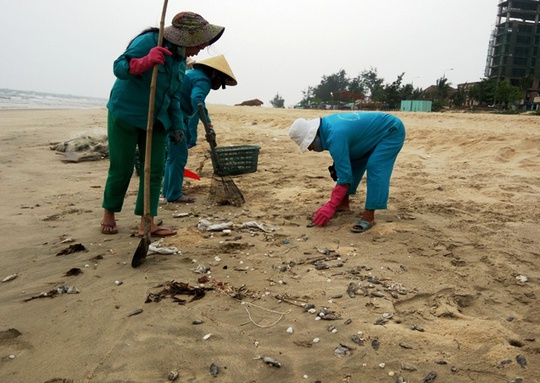 Công nhân môi trường liên tục vớt cá chết, quét dọn để tránh gây ô nhiễm