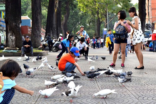 Người dân luôn mong muốn cuộc sống bình yên, văn minh. Trong ảnh: Trẻ em cho chim bồ câu ăn ở gần nhà thờ Đức Bà (quận 1, TP HCM) Ảnh: HOÀNG TRIỀU