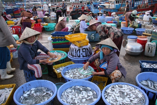 
Những mẻ cá, tôm của chuyến biển đầu năm mới được ngư dân bày bán trên cảng biển.
