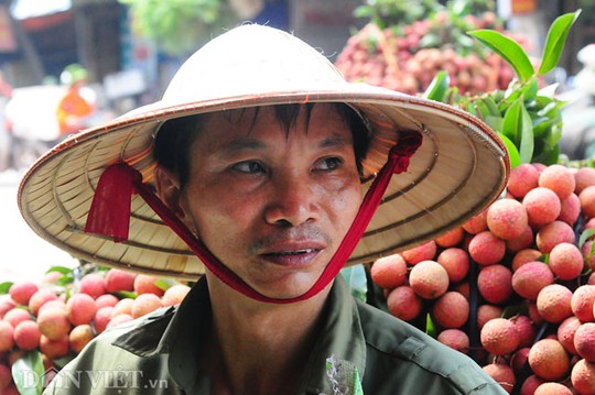 Nông dân Nguyễn Xuân Tiến ( xã Quý Sơn, huyện Lục Ngạn, Bắc Giang) tỏ ra ngán ngẩm khi mỗi lần bán vải lại bị các thương lái Trung Quốc ép giá.