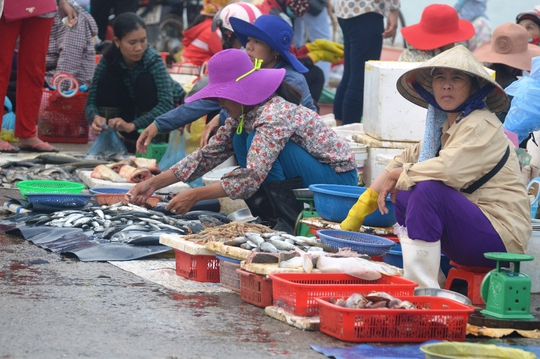 Nhiều loại cá đắt tiền được bày bán la liệt ở chợ Đồng Hới với giá rẻ, nhưng người dân đều tỏ ra dửng dưng khi đi qua các gian này