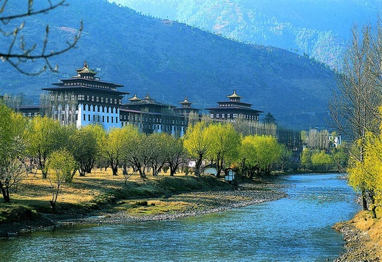 
Trồng cây là nét đẹp văn hóa ở Bhutan.
