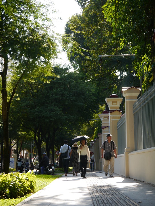 
Những hàng me xanh ngắt được trồng phổ biến trên nhiều tuyến đường như Nguyễn Du, Lê Thánh Tôn, Lý Tự Trọng,.. được xem là hồn của Sài Gòn.
