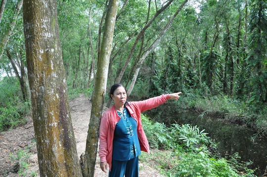 Bà Phạm Thị Lang bên khu rừng do bà trồng, chăm sóc, bảo vệ nhưng không được khai thác, sử dụng