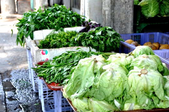 Rau tươi tại Sài Gòn không thiếu, song nhiều chủ cửa hàng vẫn muốn chuyển rau từ quê vào. Tại các cửa hàng này, khách muốn mua rau đay, sấu tươi hay sấu đông lạnh đều có đủ.