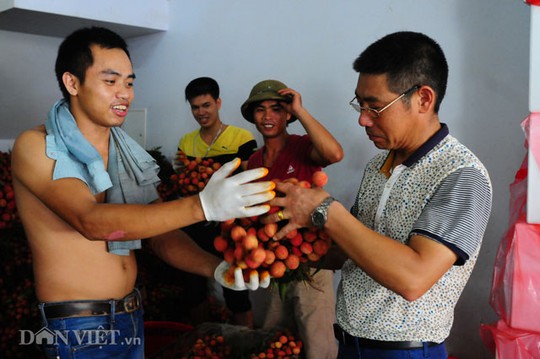 Các thương lái Trung Quốc rất chú trọng đến chất lượng sản phẩm.